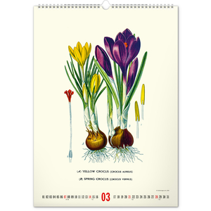 Fotografie k reklamnímu předmětu „NOTIQUE Nástěnný kalendář Vintage plakáty – herbář 2027, 33 x 46 cm“