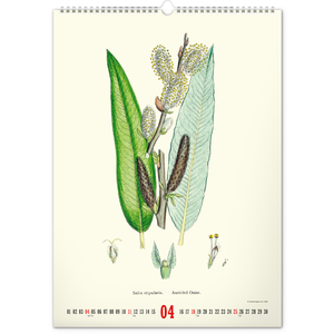 Fotografie k reklamnímu předmětu „NOTIQUE Nástěnný kalendář Vintage plakáty – herbář 2027, 33 x 46 cm“