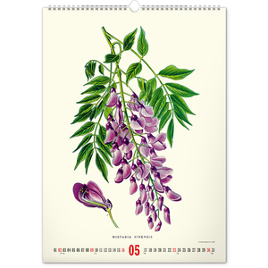 Fotografie k reklamnímu předmětu „NOTIQUE Nástěnný kalendář Vintage plakáty – herbář 2027, 33 x 46 cm“