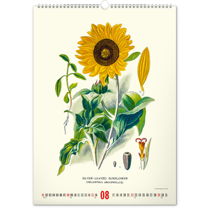Fotografie k reklamnímu předmětu „NOTIQUE Nástěnný kalendář Vintage plakáty – herbář 2027, 33 x 46 cm“