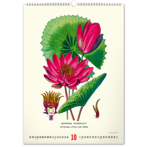 Fotografie k reklamnímu předmětu „NOTIQUE Nástěnný kalendář Vintage plakáty – herbář 2027, 33 x 46 cm“