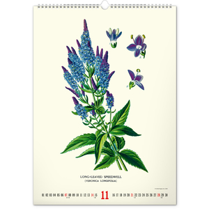 Fotografie k reklamnímu předmětu „NOTIQUE Nástěnný kalendář Vintage plakáty – herbář 2027, 33 x 46 cm“