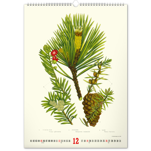 Fotografie k reklamnímu předmětu „NOTIQUE Nástěnný kalendář Vintage plakáty – herbář 2027, 33 x 46 cm“