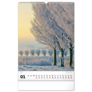 Fotografie k reklamnímu předmětu „NOTIQUE Nástěnný kalendář Stromy 2027, 33 x 46 cm“
