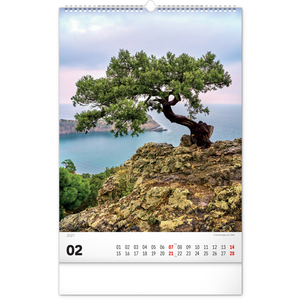 Fotografie k reklamnímu předmětu „NOTIQUE Nástěnný kalendář Stromy 2027, 33 x 46 cm“