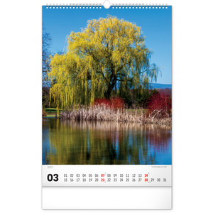 Fotografie k reklamnímu předmětu „NOTIQUE Nástěnný kalendář Stromy 2027, 33 x 46 cm“