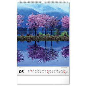 Fotografie k reklamnímu předmětu „NOTIQUE Nástěnný kalendář Stromy 2027, 33 x 46 cm“