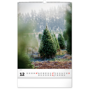 Fotografie k reklamnímu předmětu „NOTIQUE Nástěnný kalendář Stromy 2027, 33 x 46 cm“