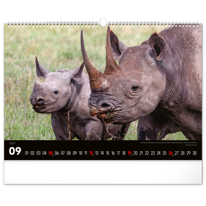 Fotografie k reklamnímu předmětu „NOTIQUE Nástěnný kalendář Živá Afrika 2027, 48 x 33 cm“