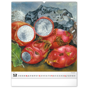 Fotografie k reklamnímu předmětu „NOTIQUE Nástěnný kalendář Frida Kahlo 2027, 48 x 56 cm“