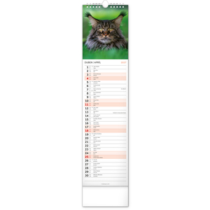 Fotografie k reklamnímu předmětu „NOTIQUE Nástěnný kalendář Kočky 2027, 12 x 48 cm“