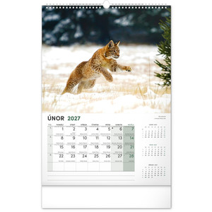Fotografie k reklamnímu předmětu „NOTIQUE Nástěnný kalendář Myslivecký 2027, 33 x 46 cm“
