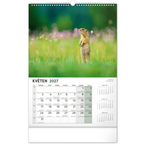 Fotografie k reklamnímu předmětu „NOTIQUE Nástěnný kalendář Myslivecký 2027, 33 x 46 cm“