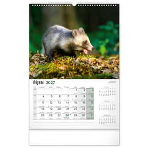 Fotografie k reklamnímu předmětu „NOTIQUE Nástěnný kalendář Myslivecký 2027, 33 x 46 cm“
