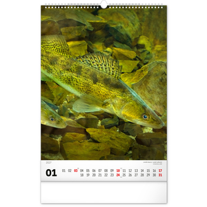 Fotografie k reklamnímu předmětu „NOTIQUE Nástěnný kalendář Rybářský – Rybársky CZ/SK 2027, 33 x 46 cm“
