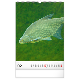 Fotografie k reklamnímu předmětu „NOTIQUE Nástěnný kalendář Rybářský – Rybársky CZ/SK 2027, 33 x 46 cm“