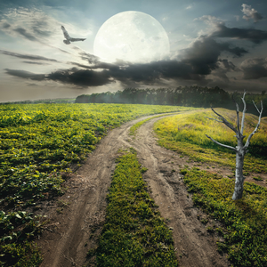 Fotografie k reklamnímu předmětu „NOTIQUE Poznámkový kalendář Měsíc 2026, 30 x 30 cm“