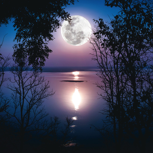 Fotografie k reklamnímu předmětu „NOTIQUE Poznámkový kalendář Měsíc 2026, 30 x 30 cm“