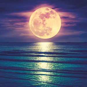 Fotografie k reklamnímu předmětu „NOTIQUE Poznámkový kalendář Měsíc 2026, 30 x 30 cm“