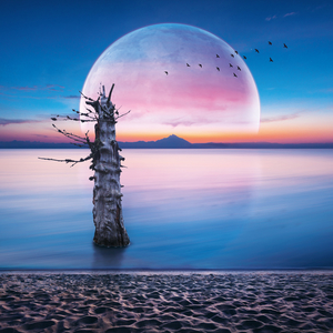 Fotografie k reklamnímu předmětu „NOTIQUE Poznámkový kalendář Měsíc 2026, 30 x 30 cm“