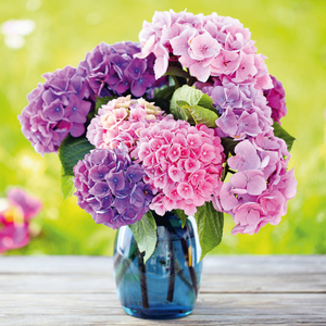 Fotografie k reklamnímu předmětu „NOTIQUE Poznámkový kalendář Květiny 2026, 30 x 30 cm“