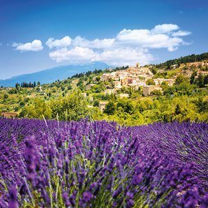 Fotografie k reklamnímu předmětu „NOTIQUE Poznámkový kalendář Provence 2026, 30 x 30 cm“