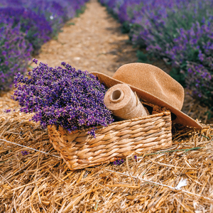 Fotografie k reklamnímu předmětu „NOTIQUE Poznámkový kalendář Provence 2026, 30 x 30 cm“
