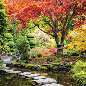 Fotografie k reklamnímu předmětu „NOTIQUE Poznámkový kalendář Zahrady 2026, 30 x 30 cm“