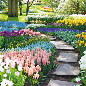 Fotografie k reklamnímu předmětu „NOTIQUE Poznámkový kalendář Zahrady 2026, 30 x 30 cm“