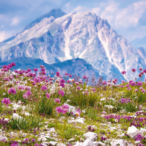 Fotografie k reklamnímu předmětu „NOTIQUE Poznámkový kalendář Alpy 2026, 30 x 30 cm“