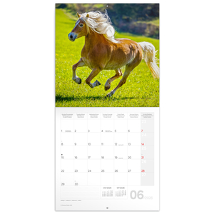 Fotografie k reklamnímu předmětu „NOTIQUE Poznámkový kalendář Koně – Christiane Slawik 2026, 30 x 30 cm“