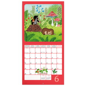 Fotografie k reklamnímu předmětu „NOTIQUE Poznámkový kalendář Krteček 2026, 30 x 30 cm“