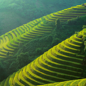 Fotografie k reklamnímu předmětu „NOTIQUE Poznámkový kalendář Naše Planeta 2026, 30 x 30 cm“