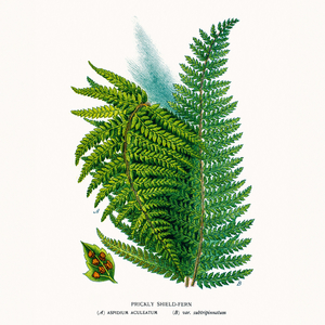 Fotografie k reklamnímu předmětu „NOTIQUE Poznámkový kalendář Herbář 2026, 30 x 30 cm“