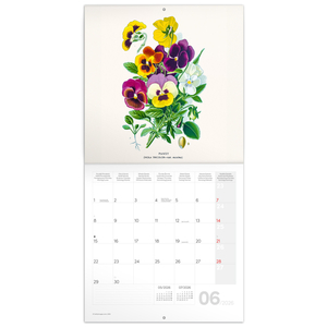 Fotografie k reklamnímu předmětu „NOTIQUE Poznámkový kalendář Herbář 2026, 30 x 30 cm“