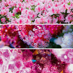 Fotografie k reklamnímu předmětu „NOTIQUE Poznámkový kalendář Paleta 2026, 30 x 30 cm“