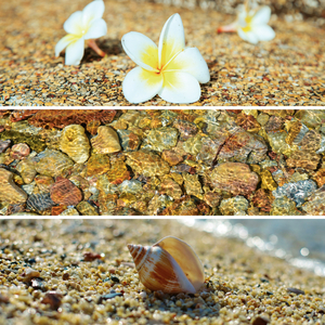 Fotografie k reklamnímu předmětu „NOTIQUE Poznámkový kalendář Paleta 2026, 30 x 30 cm“