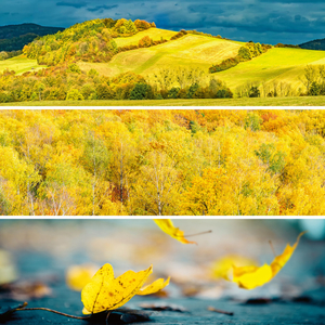 Fotografie k reklamnímu předmětu „NOTIQUE Poznámkový kalendář Paleta 2026, 30 x 30 cm“