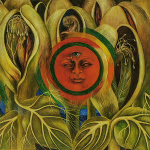 Fotografie k reklamnímu předmětu „NOTIQUE Poznámkový kalendář Frida Kahlo 2026, 30 x 30 cm“