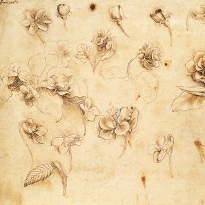 Fotografie k reklamnímu předmětu „NOTIQUE Poznámkový kalendář Leonardo da Vinci 2026, 30 x 30 cm“