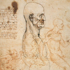 Fotografie k reklamnímu předmětu „NOTIQUE Poznámkový kalendář Leonardo da Vinci 2026, 30 x 30 cm“