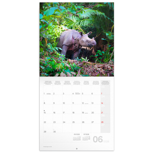 Fotografie k reklamnímu předmětu „NOTIQUE Poznámkový kalendář Ohrožené druhy 2026, 30 x 30 cm“