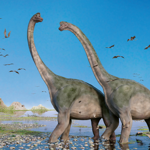 Fotografie k reklamnímu předmětu „NOTIQUE Grid calendar Dinosaurs 2027, 30 x 30 cm“