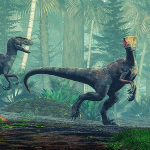 Fotografie k reklamnímu předmětu „NOTIQUE Grid calendar Dinosaurs 2027, 30 x 30 cm“