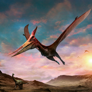Fotografie k reklamnímu předmětu „NOTIQUE Grid calendar Dinosaurs 2027, 30 x 30 cm“