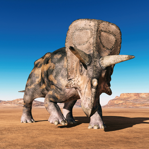 Fotografie k reklamnímu předmětu „NOTIQUE Grid calendar Dinosaurs 2027, 30 x 30 cm“