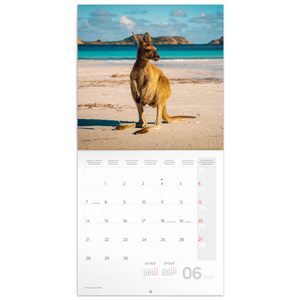 Fotografie k reklamnímu předmětu „NOTIQUE Poznámkový kalendář Divoká zvířata 2027, 30 x 30 cm“