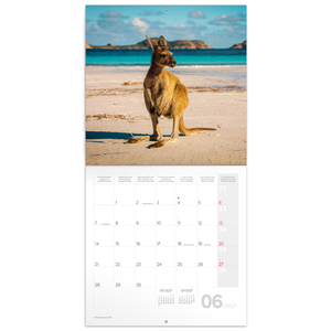 Fotografie k reklamnímu předmětu „NOTIQUE Grid calendar Wild Animals 2027, 30 x 30 cm“