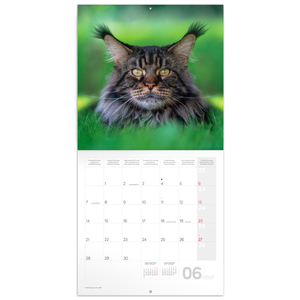 Fotografie k reklamnímu předmětu „NOTIQUE Grid calendar Cats 2027, 30 x 30 cm“