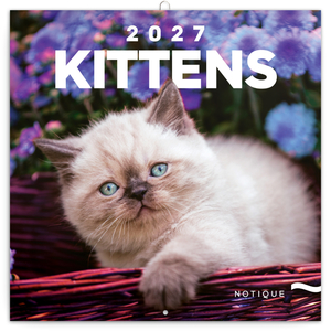 Fotografie reklamního předmětu „NOTIQUE Grid calendar Kittens 2027, 30 x 30 cm“
